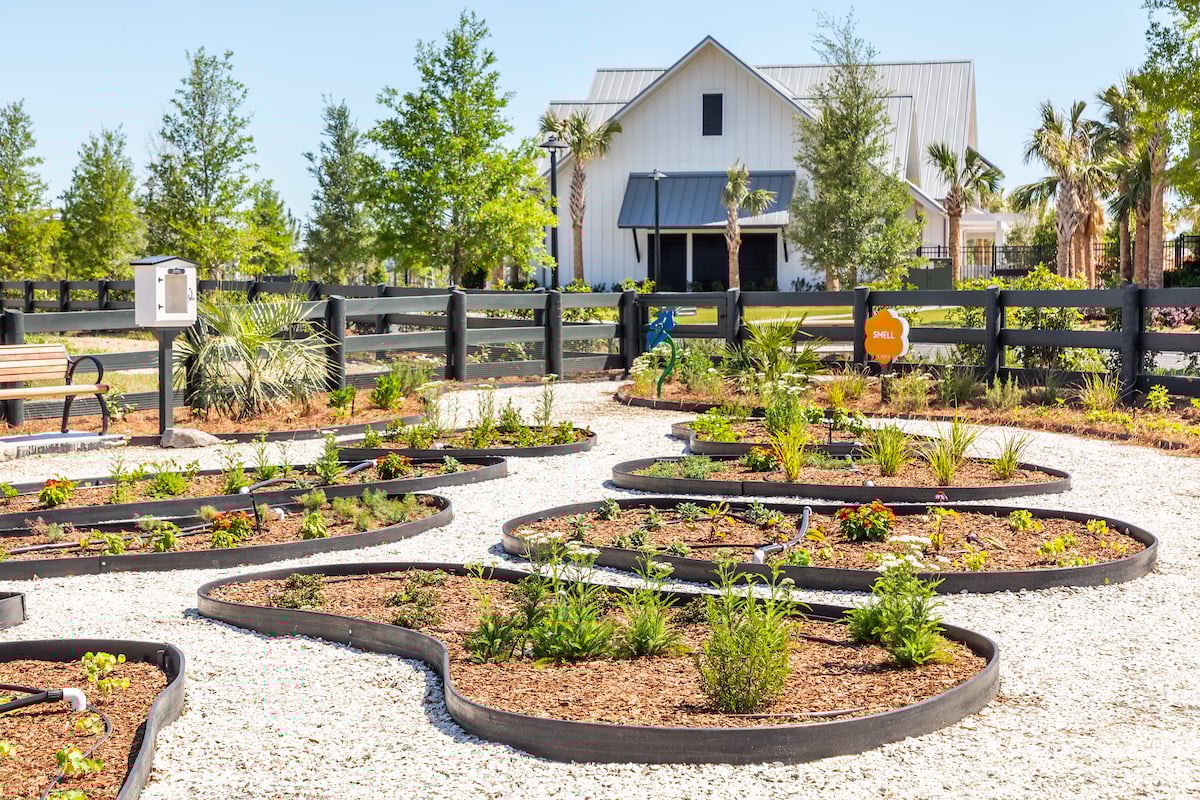 Carnes Crossroads-U Pick Garden-CMF Photo-2107