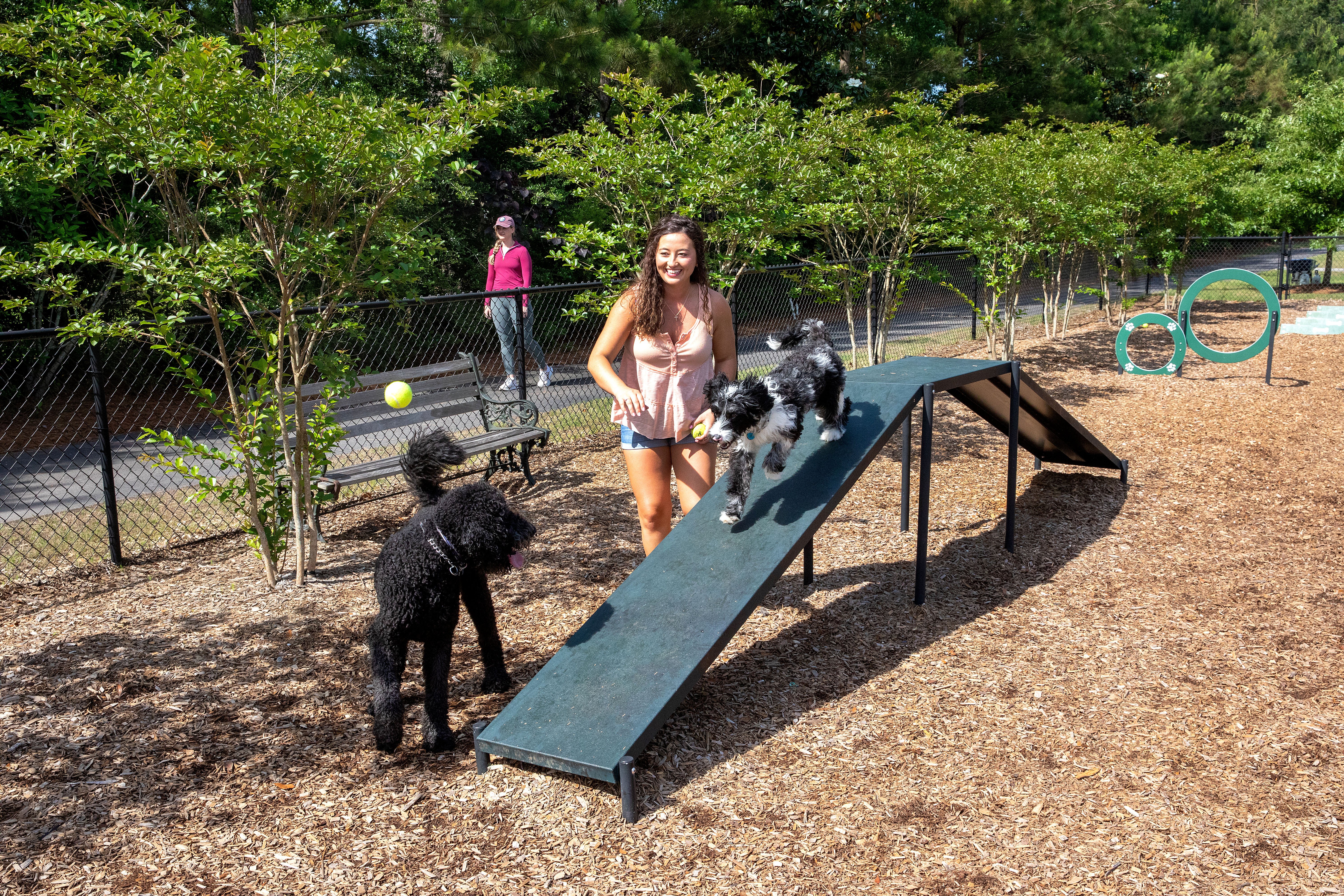 Dog Park
