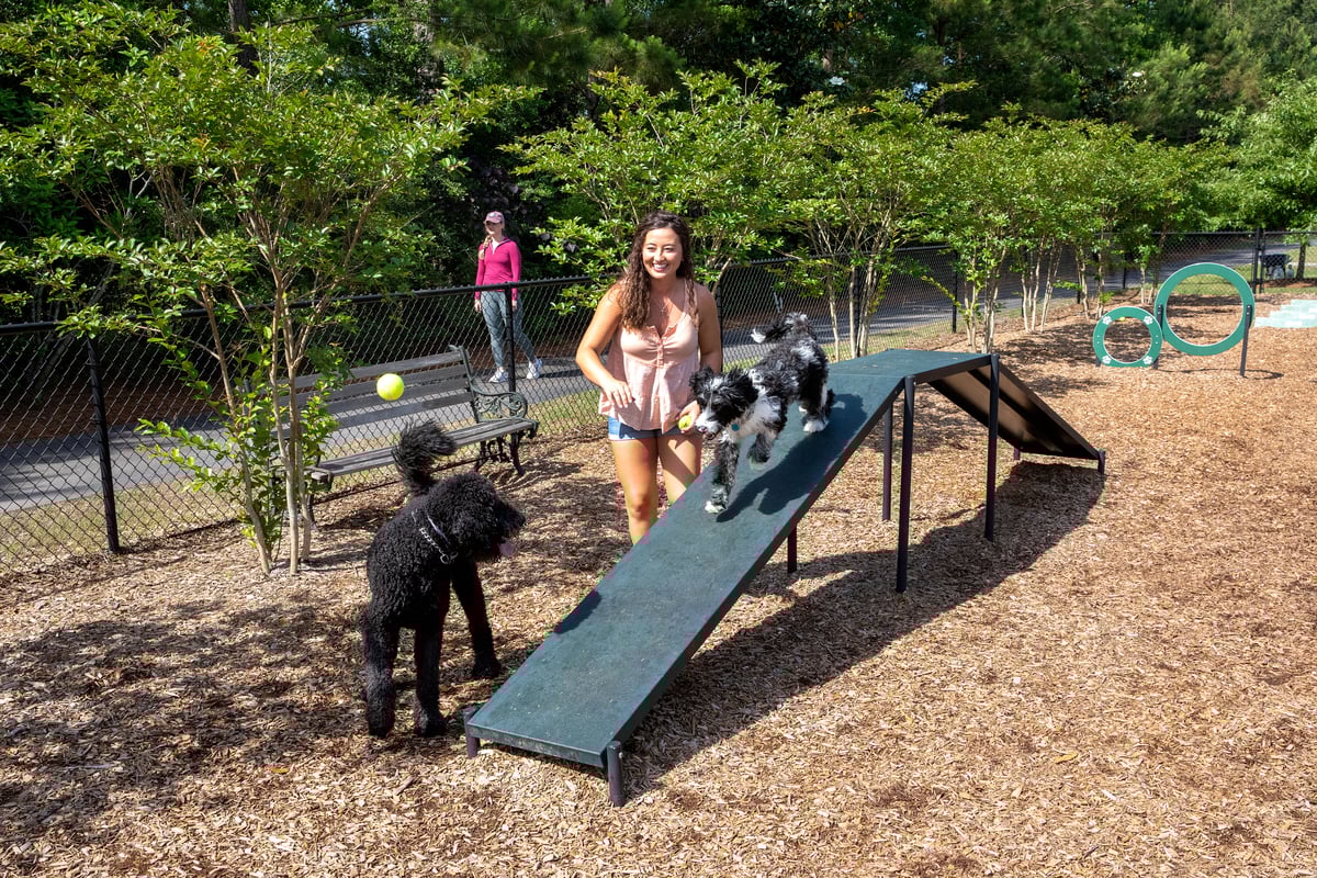 Dog Park